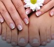 Ногти пальцев рук и ног